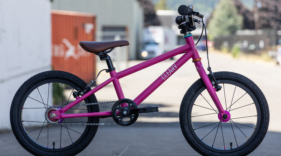 Cleary Hedgehog Custom Build